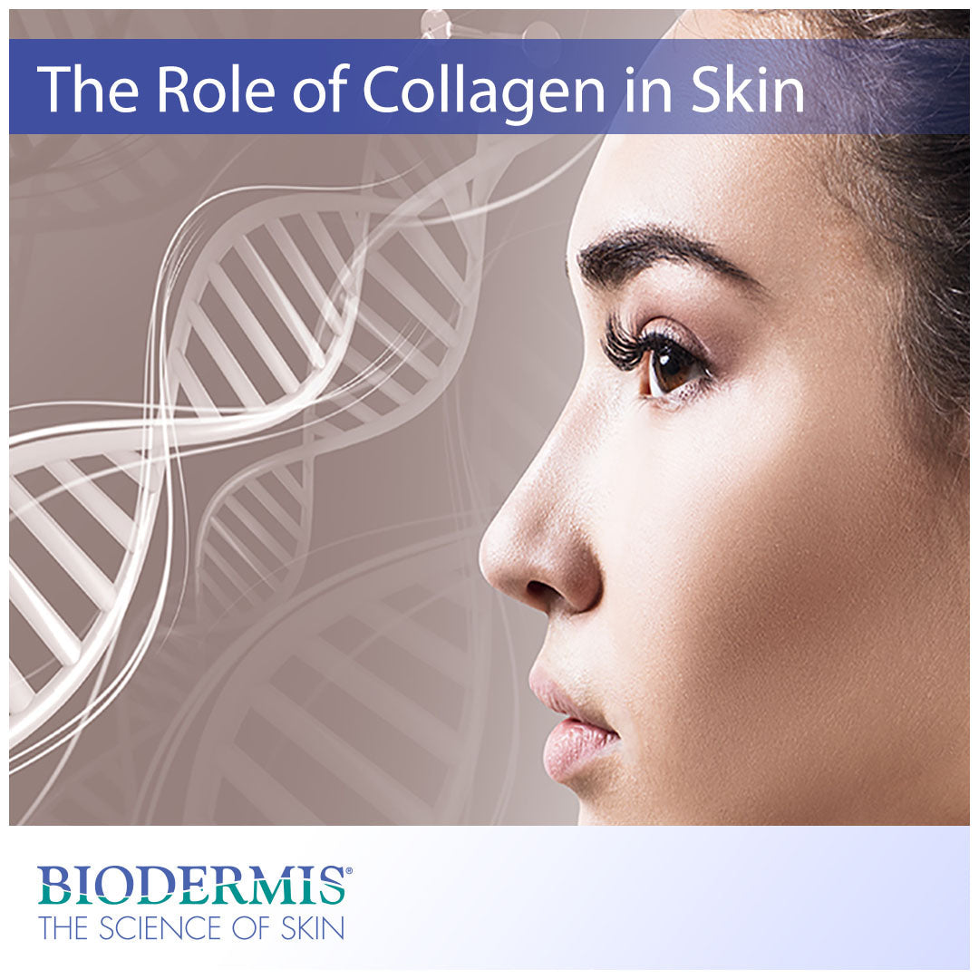 The Role of Collagen in Skin Health  |  Biodermis.com Biodermis