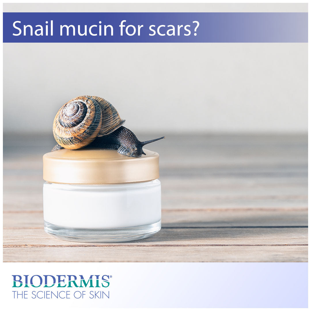 Why You Shouldn't Use Snail Mucin for Your Scars | Biodermis.com