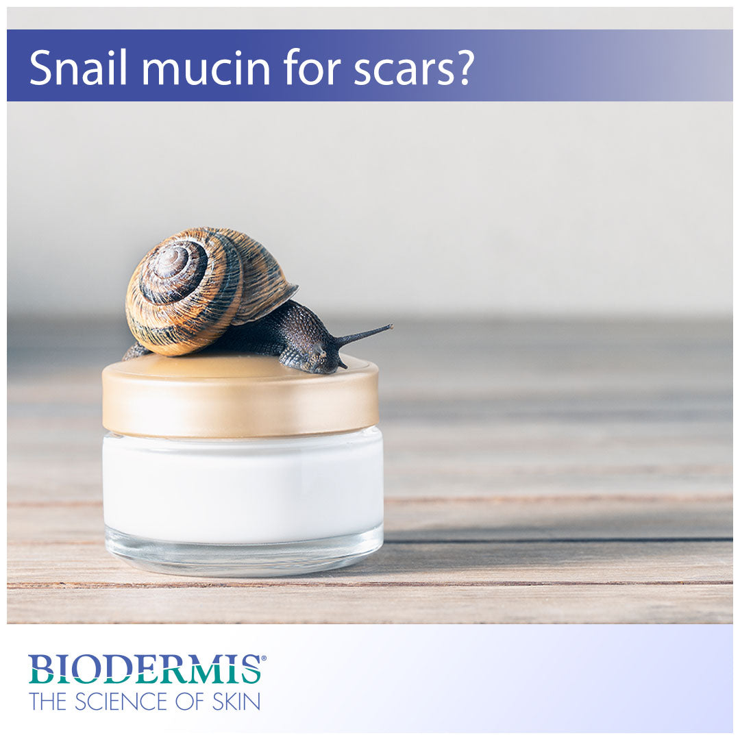 Why You Shouldn't Use Snail Mucin for Your Scars  |  Biodermis.com Biodermis